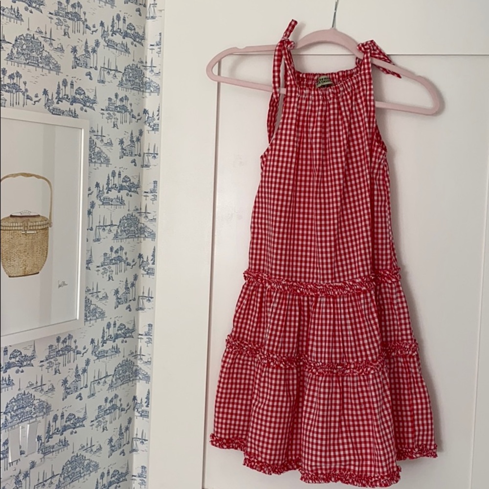 Sophie Catalou Red Gingham Dress. 12
